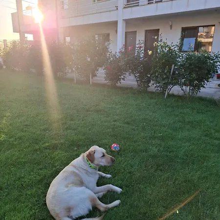 Casa Ericka Vama Veche