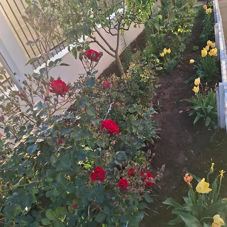 بيت ضيافة Casa Ericka