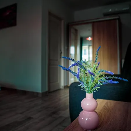 Гостевой дом Casa Ericka