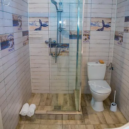 Casa Ericka Penzion Vama Veche
