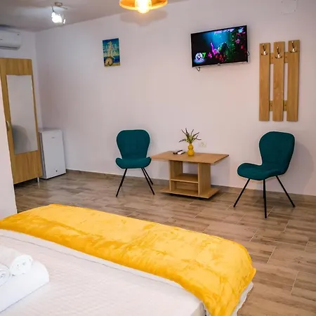 Casa Ericka Penzion Vama Veche