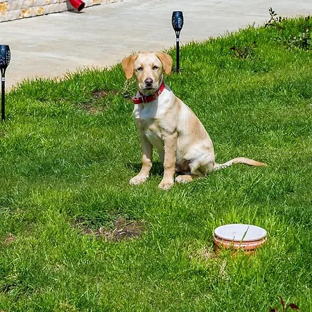 Gæstehus Casa Ericka