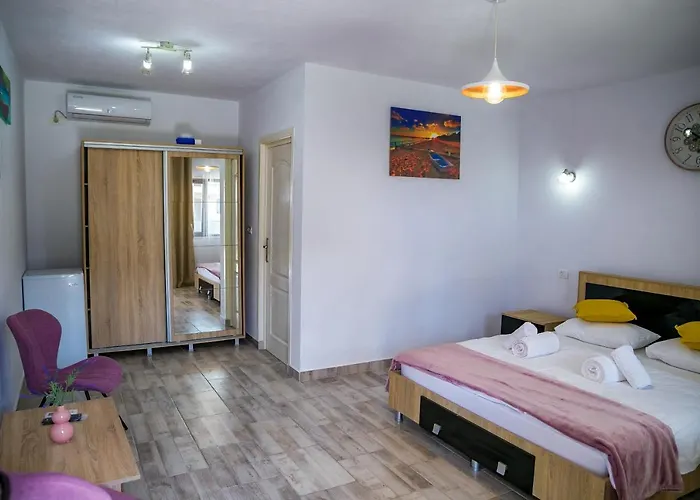 Pensiune Casa Ericka Vama Veche