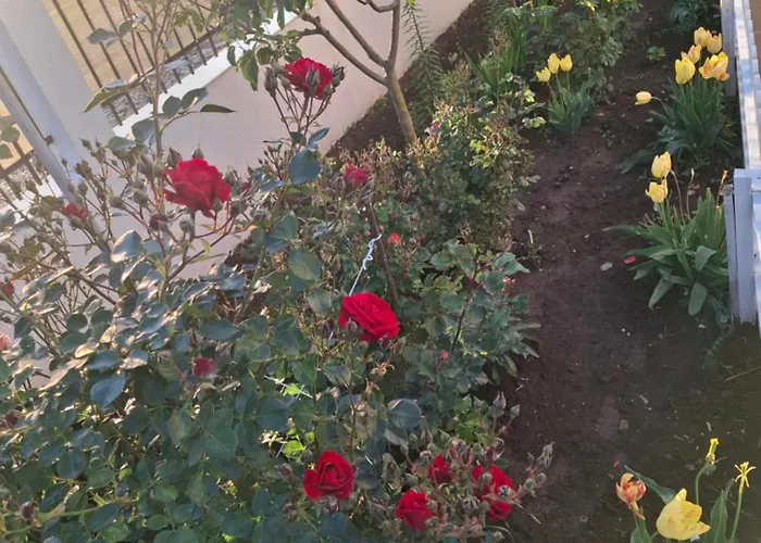 Pensiune Casa Ericka