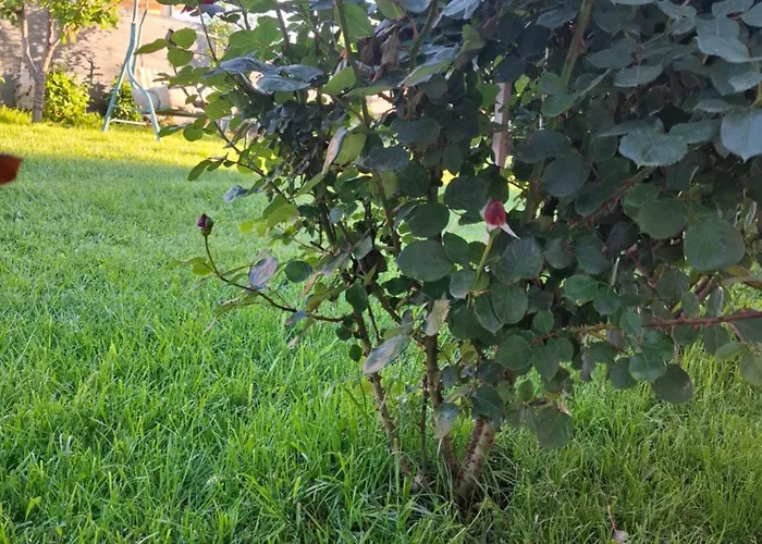 Casa Ericka Pensiune 3*